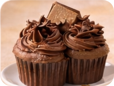 Dark Chocolate Fudge Cupcake